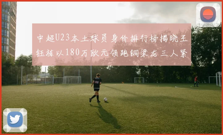 中超U23本土球员身价排行榜揭晓王钰栋以180万欧元领跑铜梁龙三人紧随其后